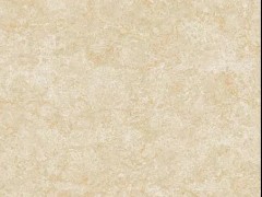 只发工地 浙江宁波市瓷砖 好莱坞陶瓷 帕丽丝瓷瓦 工地瓷砖