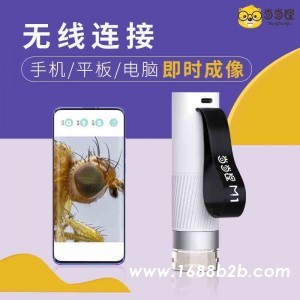 这5部STEAM启蒙动画，3-8岁孩子绝不能错过！
