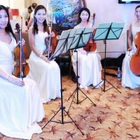 主持歌手 庆典礼仪 舞狮演出 活动执行 演出节目图4