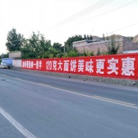 嘉定墙体广告环保创新新选择,嘉定公路标语