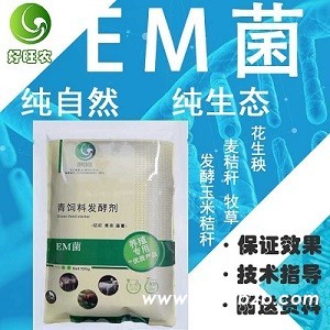青储玉米秸秆做喂牛饲料好操作吗
