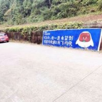 遵义墙体手绘广告,遵义喷绘围墙广告,遵义乡村墙画