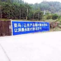 达州墙体标语字迹规范达州乡村墙面广告大字效果