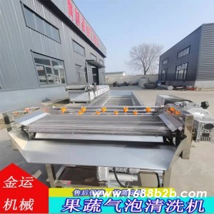 果蔬喷淋气泡清洗机  大枣白菜清洗流水线  莴笋清洗机