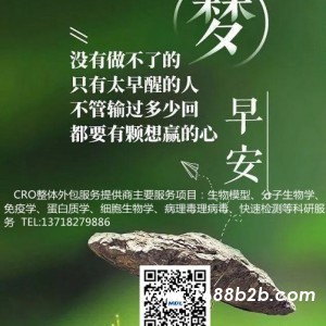 【动物造模】兔骨缺损模型