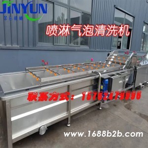 全自动果蔬喷淋清洗机  厂家直供山楂大枣加工全套设备