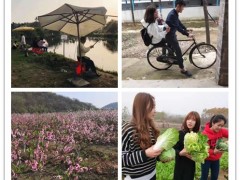 武汉江夏同时安排80人拓展培训的农庄有推荐吗？乐农值得夸