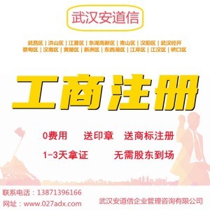 武汉记账报税公司办理新设公司注册全程无需到场快至1-3天下证
