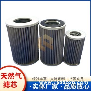 G5 G6 G7 G8.0 不锈钢折叠天然气管道滤芯