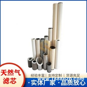 沼气滤芯 烯气管道过滤器滤芯 天然气滤芯生产厂家