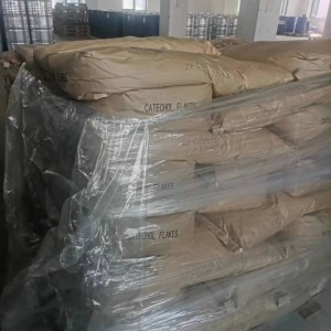 邻苯二酚库存索尔维产品