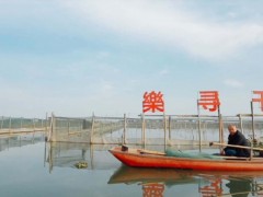 乐寻千城阳澄湖大闸蟹宣传片文字稿“螃蟹横行”
