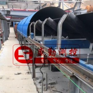 皮带秤出口泰国越南，出口级皮带秤（皮带秤出口价格）