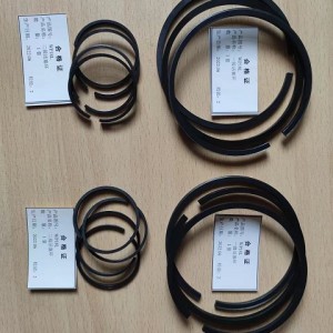 WP18L WP25L P32L 船用压缩机活塞环