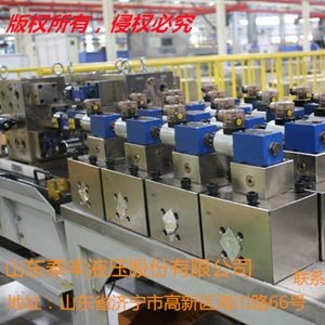 山东泰丰专业生产供应插装阀 二通插装阀 量大价格实惠