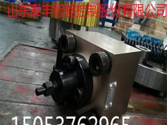 山东泰丰厂家可加工定制充液阀TCF1-250A1