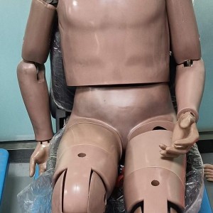 混三 50分位男性碰撞假人