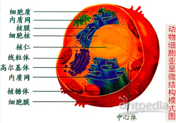 1576221986213589.png image.png