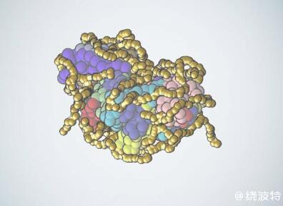 机器人可以合成稳定蛋白质，比人工合成快十倍以上