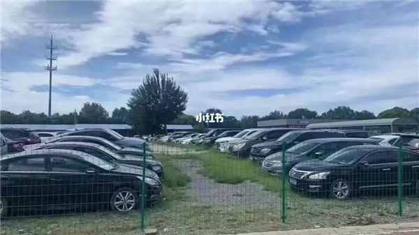 想买法拍车捡漏？你可能得先准备10本驾照
