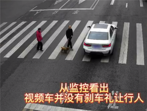 女司机不礼让行人被罚 晒照片谎称已刹停 监控戳破谎言